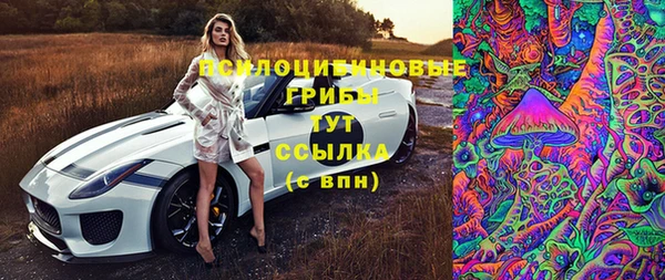 круглые Осинники
